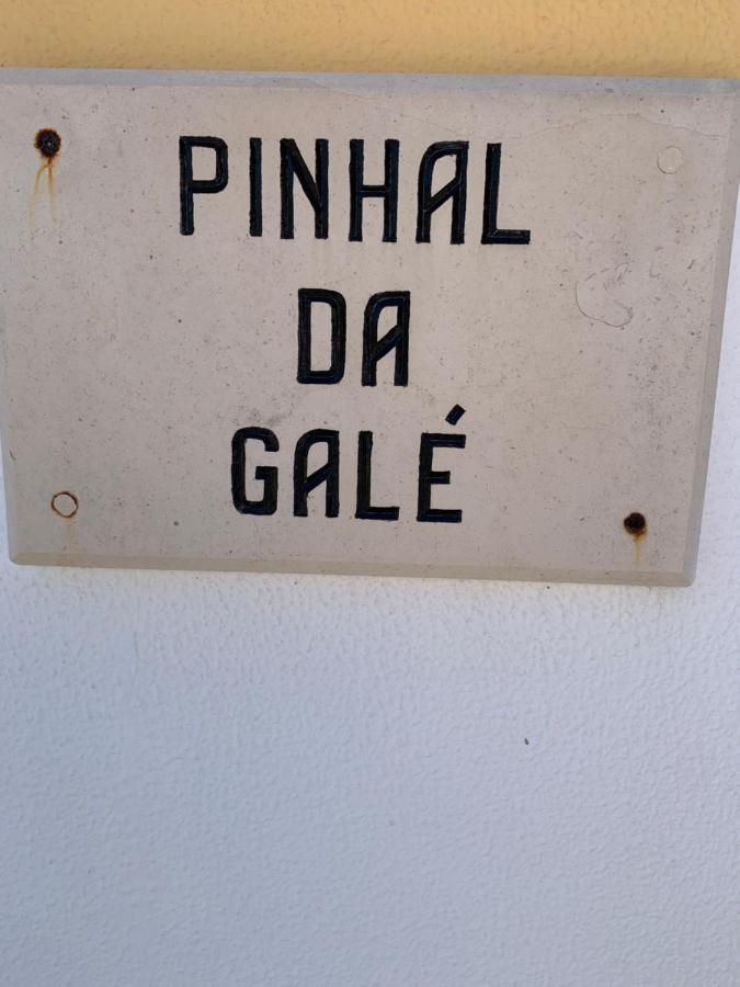 Gale  Holiday Apartment Near The Sea מראה חיצוני תמונה