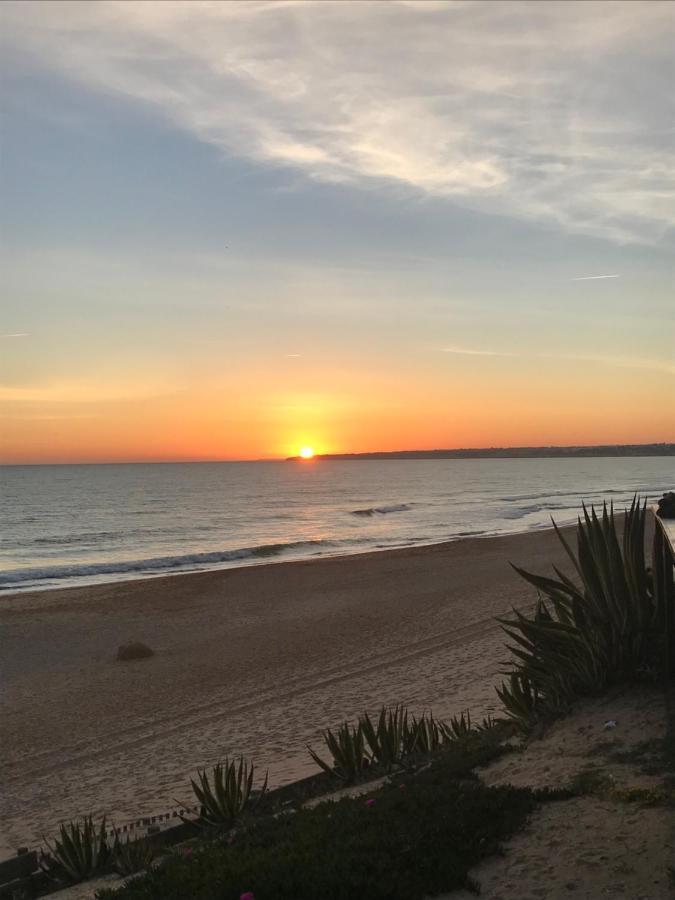 Gale  Holiday Apartment Near The Sea מראה חיצוני תמונה